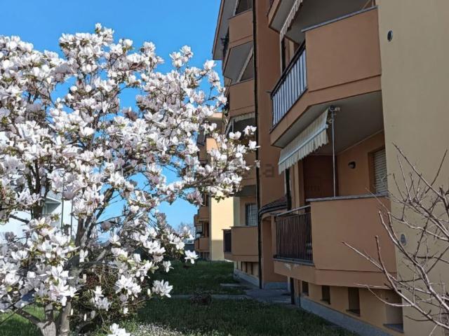 Appartamento in vendita a Trecate, Novara