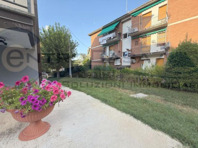 Appartamento in vendita a Cicogna, San Lazzaro