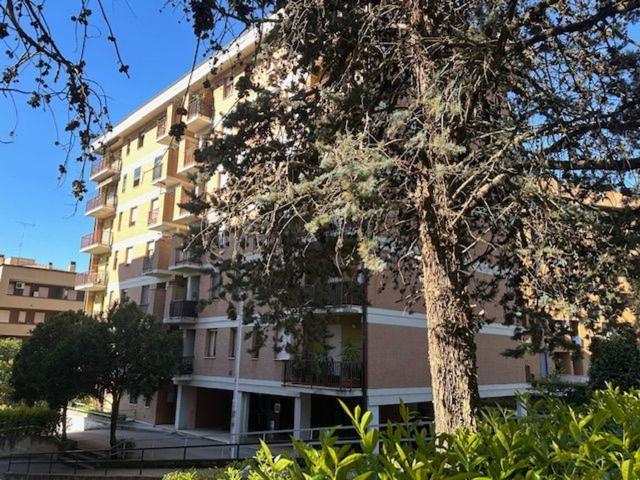 Appartamento in vendita a Cenerente, Umbria