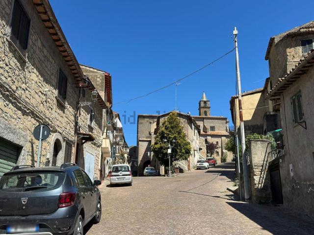 Appartamento in vendita a Piansano, Lazio