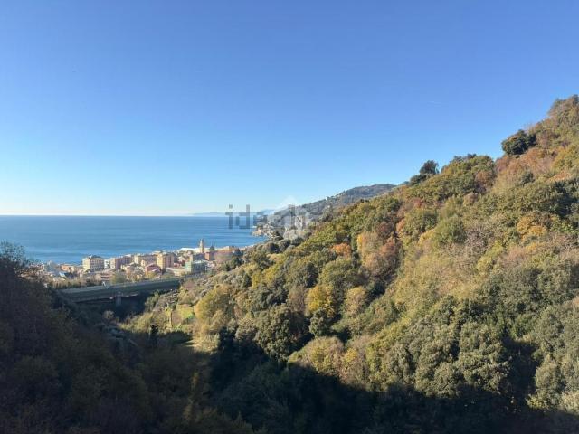 Appartamento in vendita a Ponente, Serra Riccò