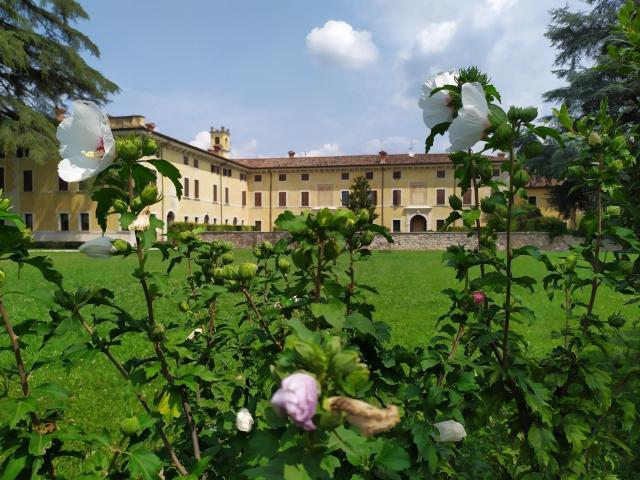 Appartamento in vendita a Domegliara, Sant'ambrogio Di