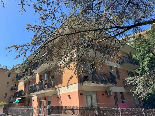 Appartamento in vendita a Ponente, Serra Riccò