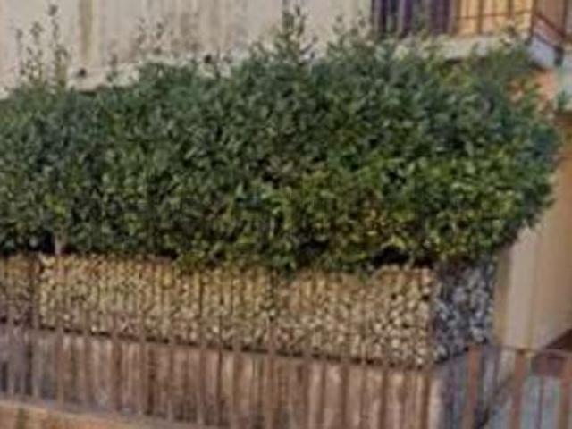 Appartamento in vendita a Massannunziata, Mascalucia