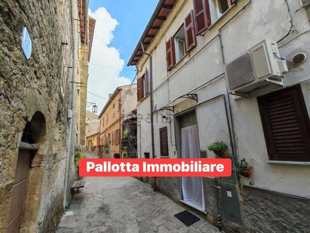 Appartamento in vendita a Piansano, Lazio