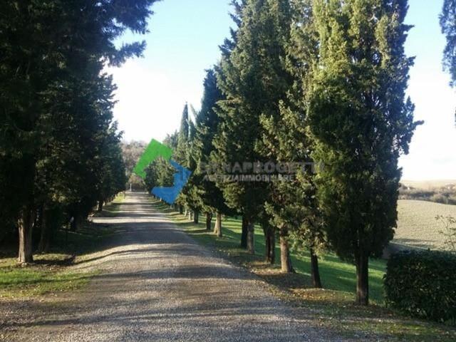 Appartamento in vendita a Monteroni D'arbia, Toscana