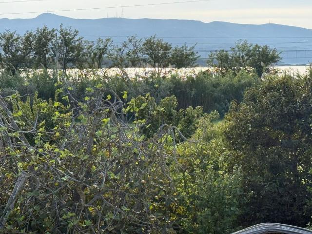 Appartamento in vendita a Provinca, Orbetello