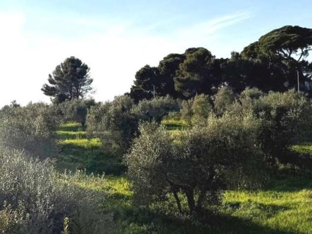 Appartamento in vendita a Collinaia, Livorno
