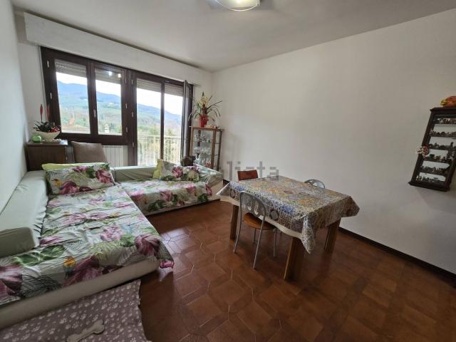 Appartamento in vendita a Montegonzi, Toscana