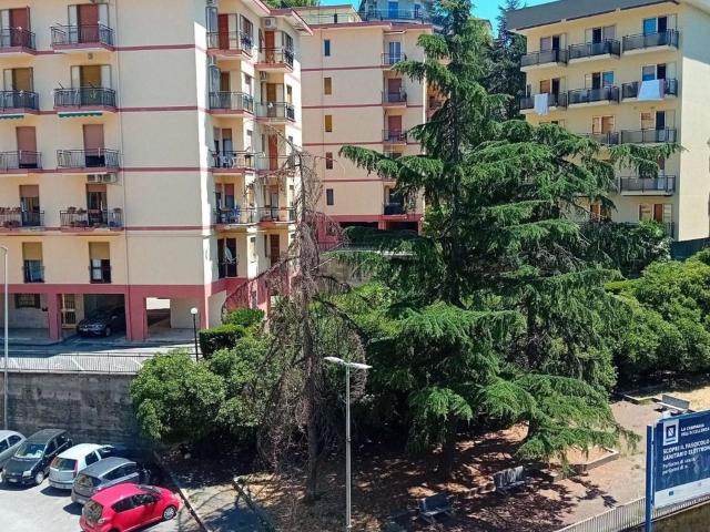 Appartamento in vendita a Salerno