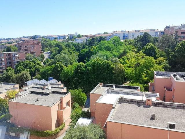 Appartamento in vendita a Tavernelle, Marche