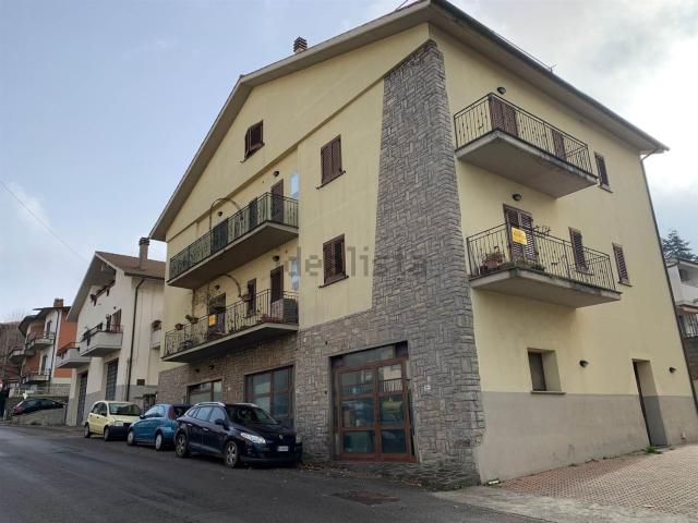Appartamento in vendita a Unione dei Comuni Montani Amiata Grossetana, Castel Del Piano