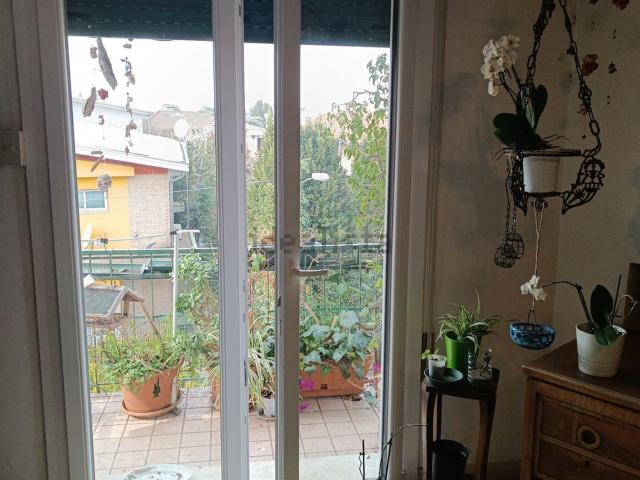 Appartamento in vendita a Paltana, Padova