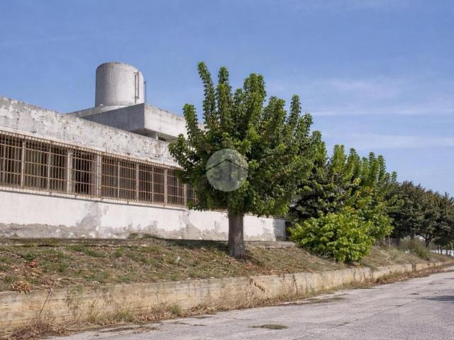 Appartamento in vendita a Roseto Degli Abruzzi, Abruzzo