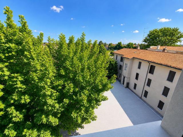 Appartamento in vendita a Rovigo, Veneto
