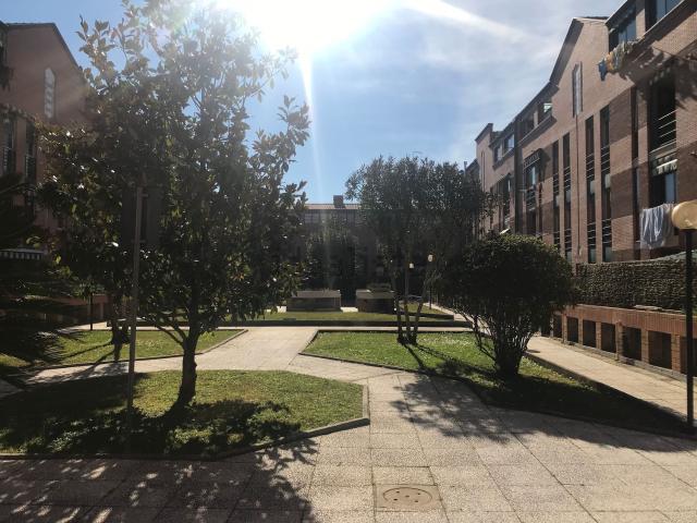 Appartamento in vendita a Scopaia, Livorno