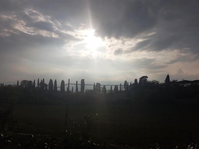 Appartamento in vendita a Sovicille, Toscana