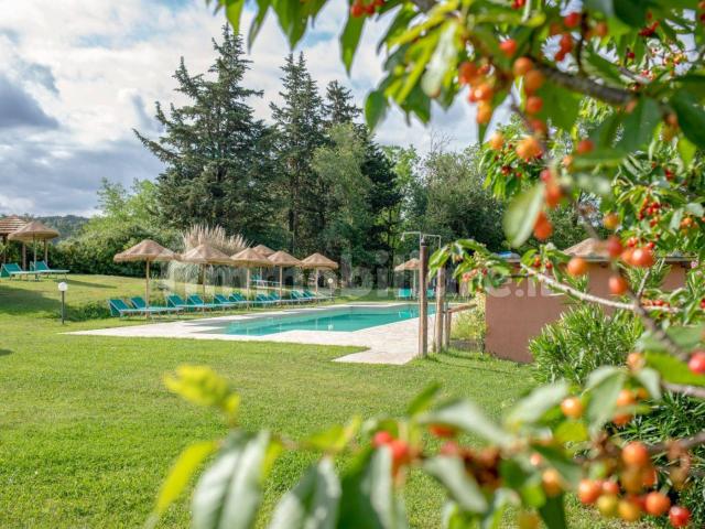 Villa Indipendente in affitto a Cecina, Toscana