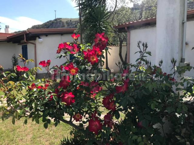 Villa Indipendente in affitto a Calabria, Vibo Valentia