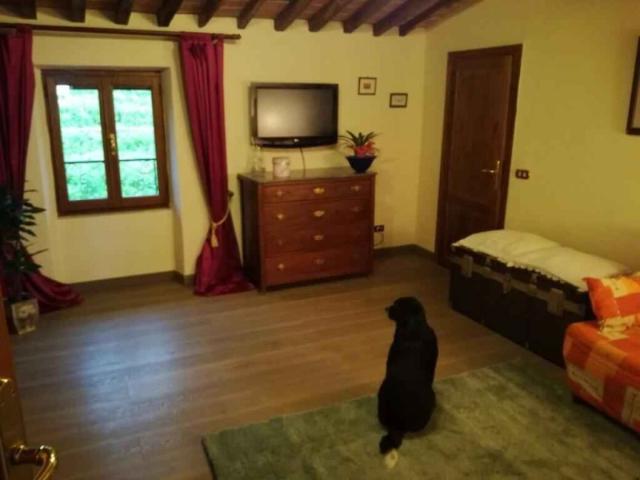 Appartamento in affitto a Tonfano, Toscana