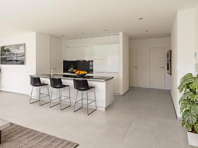 Wohnung kaufen in Paradiso, Tessin