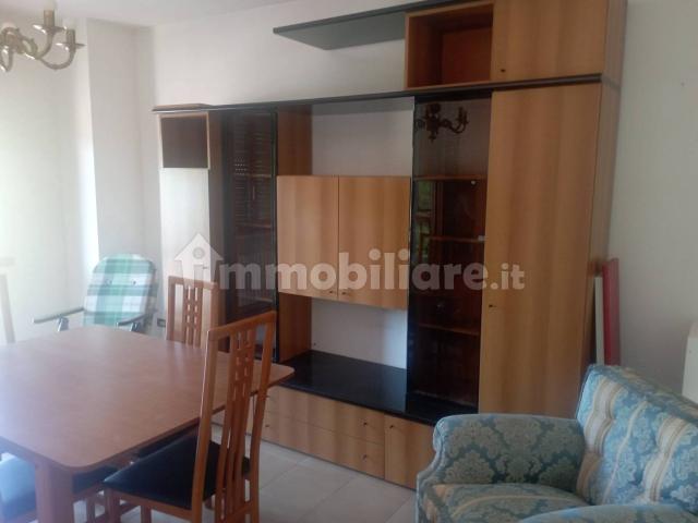 Appartamento in affitto a Penna Sant'andrea, Abruzzo