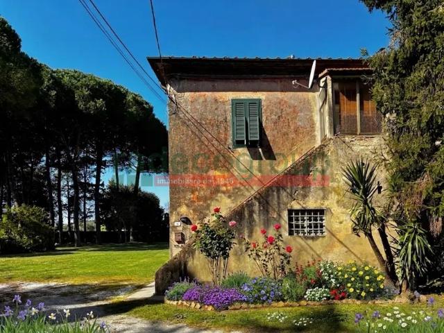 Appartamento in affitto a Collesalvetti, Toscana