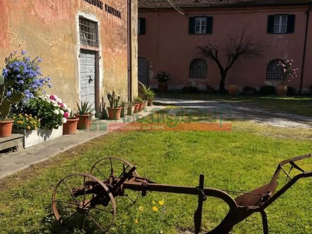 Appartamento in affitto a Collesalvetti, Toscana