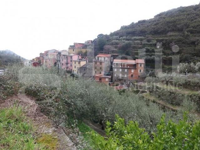 Appartamento in vendita a Riomaggiore, Liguria