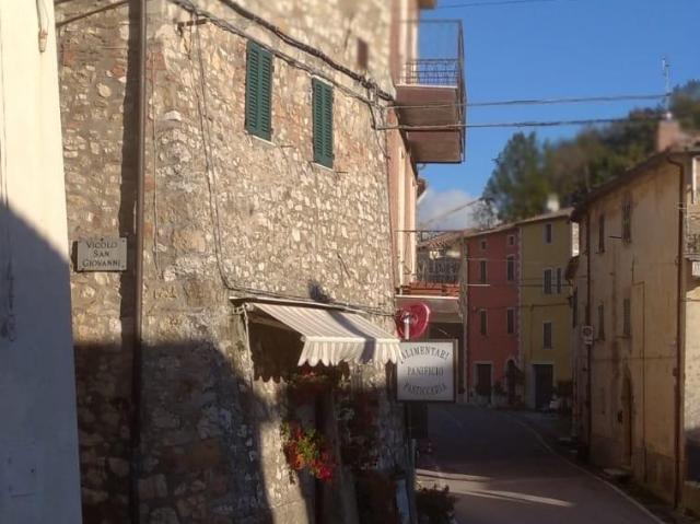 Appartamento in vendita a Unione dei Comuni Montani Amiata Grossetana, Semproniano