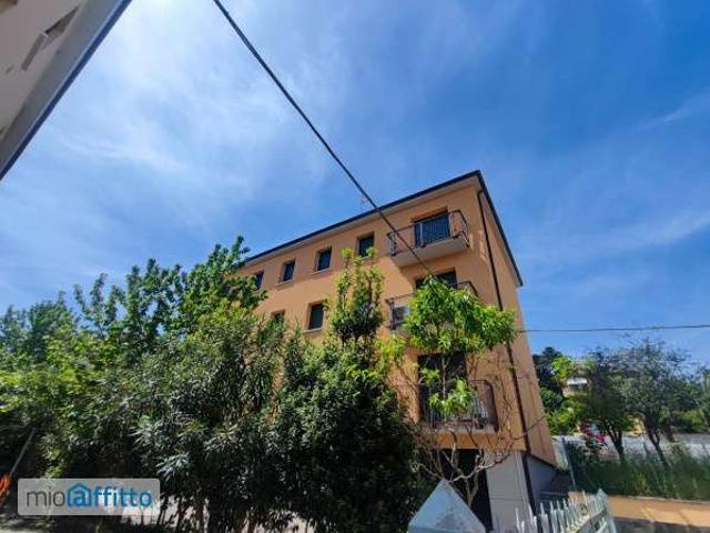 Appartamento in affitto a Monte Donato, Bologna