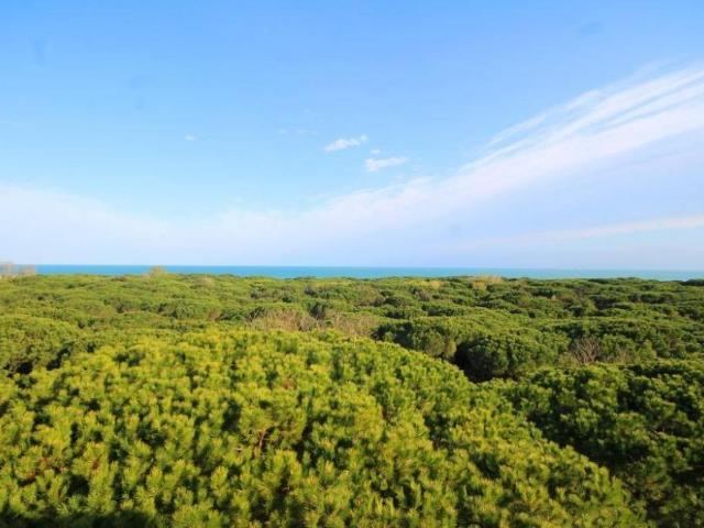 Appartamento in affitto a Borgo Gemona, Reana Del Roiale