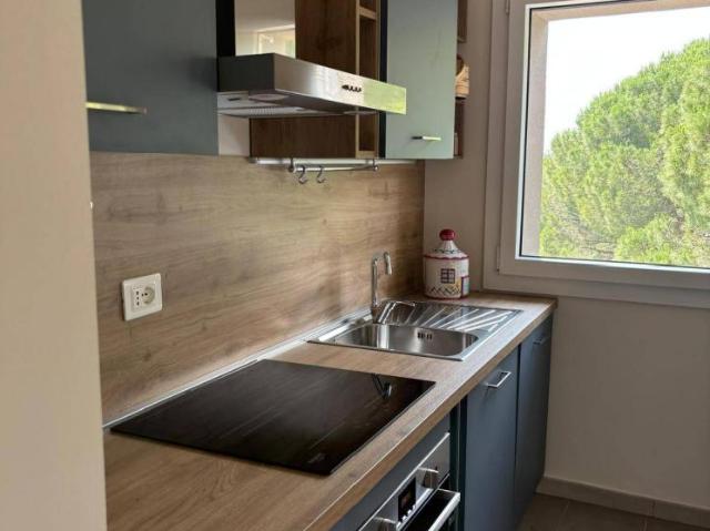 Appartamento in affitto a Fauglia, Pisa