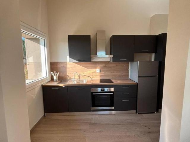 Appartamento in affitto a Fauglia, Pisa