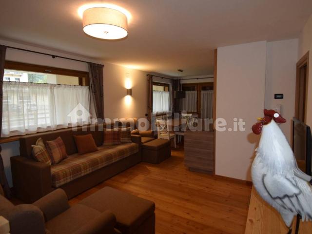 Appartamento in affitto a San Vito Di Cadore, Veneto