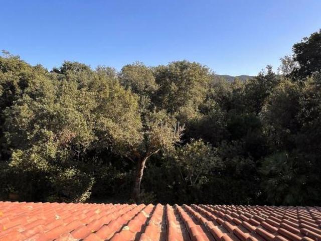 Appartamento in affitto a Follonica, Toscana