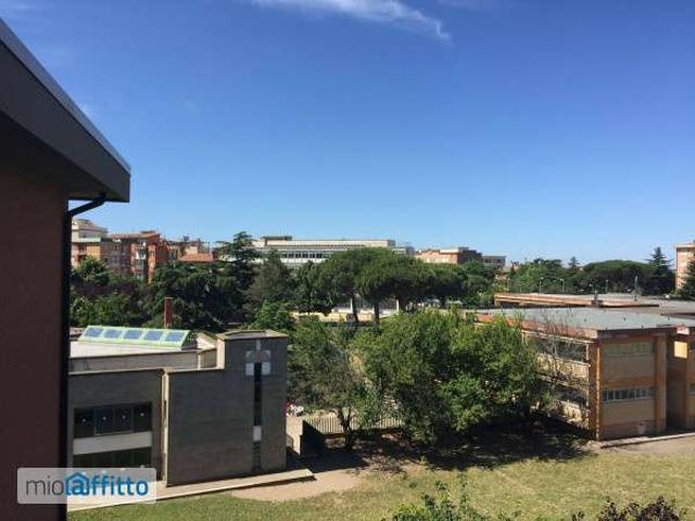 Appartamento in affitto a Ellera, Viterbo