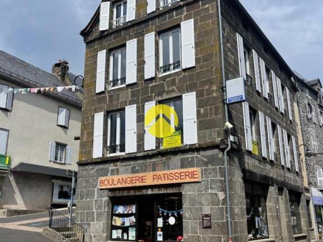 Appartement vente à Pierrefort, Cantal