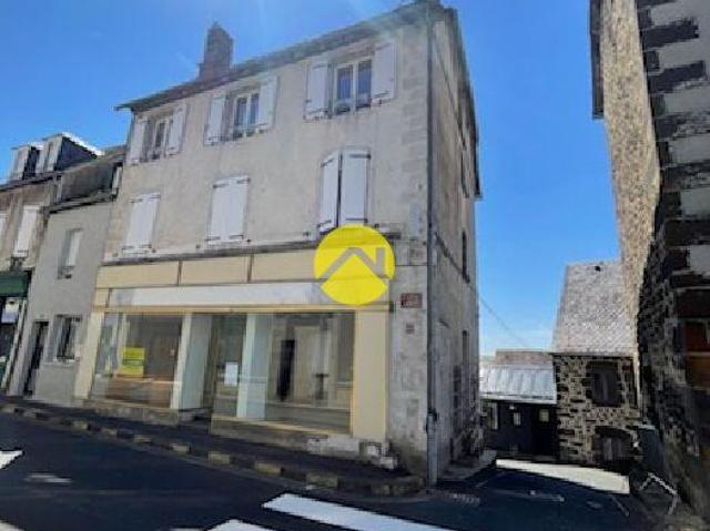 Appartement vente à Pierrefort, Cantal