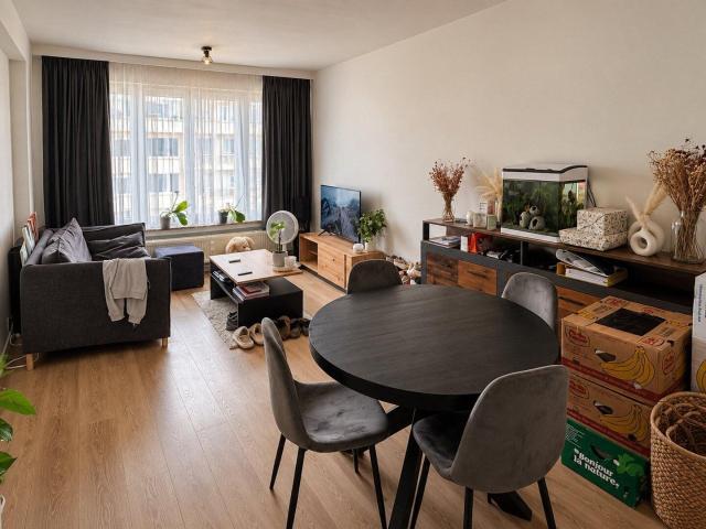 Kot location à Marokken, Mechelen