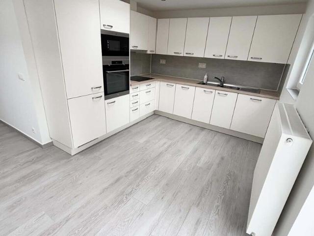 Kot location à Over-Heembeek, Bruxelles - Brussel