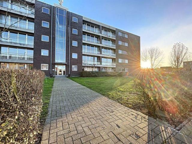 Kot location à Desteldonk, Oost-Vlaanderen