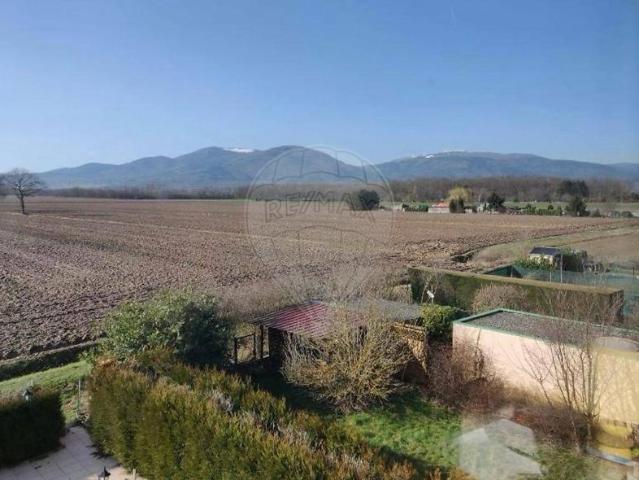 Appartement vente à Mulhouse, Bollwiller