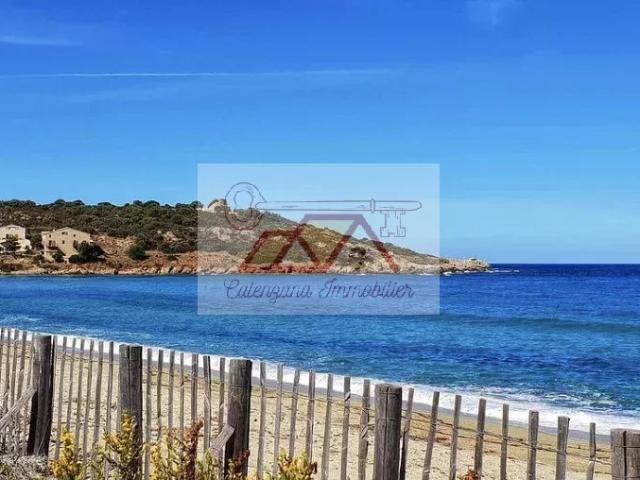 Appartement vente à Calvi, Palasca