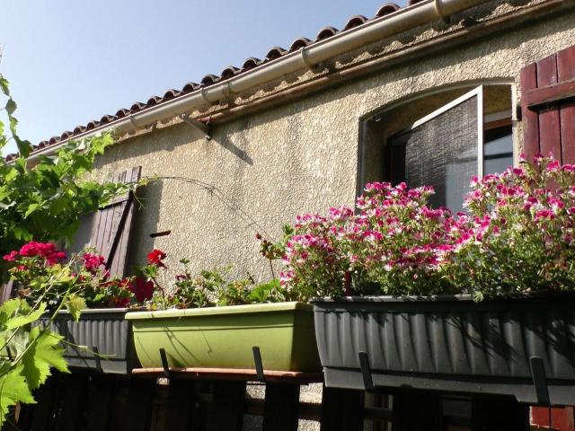 Appartement location à Montpellier