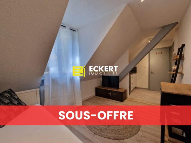 Appartement vente à Sélestat-Erstein, Le Hohwald
