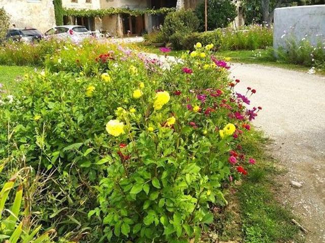 Appartement location à Valence, Bésayes