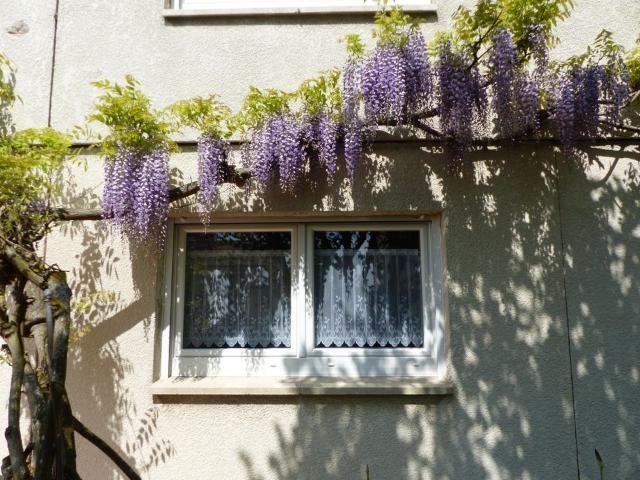 Appartement location à Metz, Marly