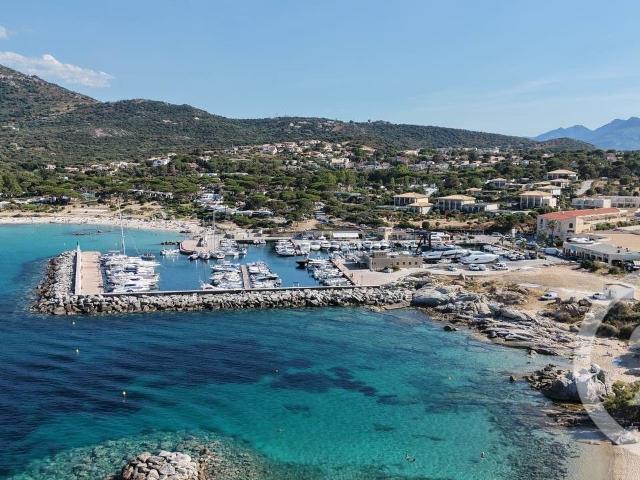 Appartement vente à Calvi, Lumio