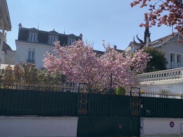 Appartement location à Nogent-sur-Marne, Saint-maur-des-fossés